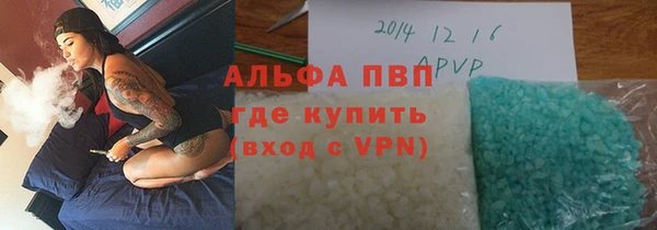PSILOCYBIN Ветлуга