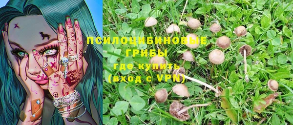 кокс Армянск