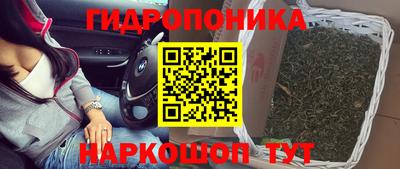 СК Ангарск