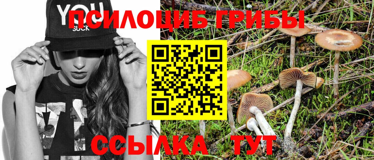 Георгиевск  Галлюциногенные грибы Psilocybine cubensis  как найти закладки  Псилоцибиновые грибы мицелий  Вход с VPN 