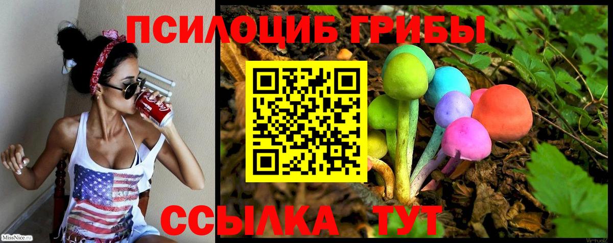 Псилоцибиновые грибы GOLDEN TEACHER Георгиевск